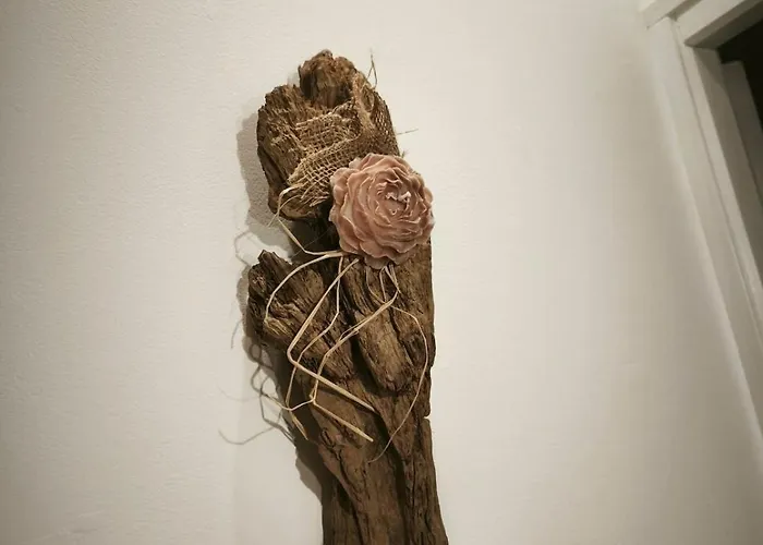 Feriehus Maison Pierres Et Poutres D'opale